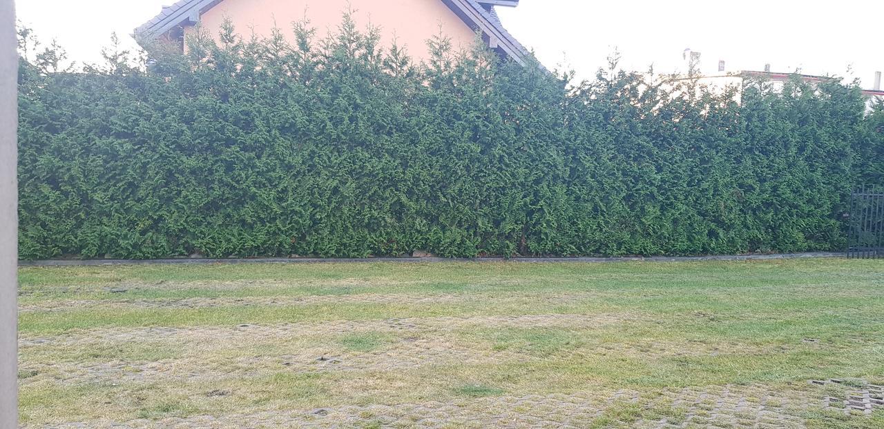 Pokoje Goscinne Pryzmat Wladyslawowo Luaran gambar